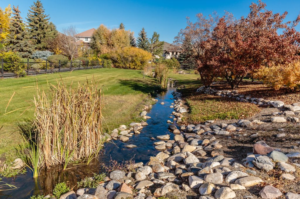 Homes For Sale in Arbor Creek C21 Fusion