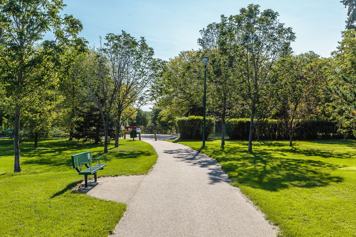 City Park